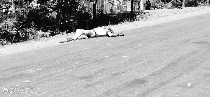 spring_2021's tweet photo. TW//Sensitive Content 

According to local, SAC Troops stationed in NatChaung Village, Kale Tsp shot dead to passerby locals for without any reasons – about 20 locals were killed but only 4 dead bodies were collected.(1/2)

#WarCrimesOfJunta
#Dec27Coup  
#WhatsHappeningInMyanmar https://t.co/L19jTo12VV