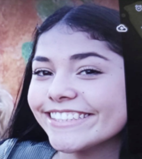 yolevicom's tweet photo. URGENTE MENOR DESAPARECIDA: María Fernanda Albuquerque Leao.

María Fernanda Albuquerque Leao desaparece el día 23 de diciembre de 2021 en Roquetas de Mar, ALMERÍA.

https://t.co/mPFtcW4ZfP

#desaparecidos #missing #almeria #andalucia #roquetas #yolevi https://t.co/Xa54Ibr8A6