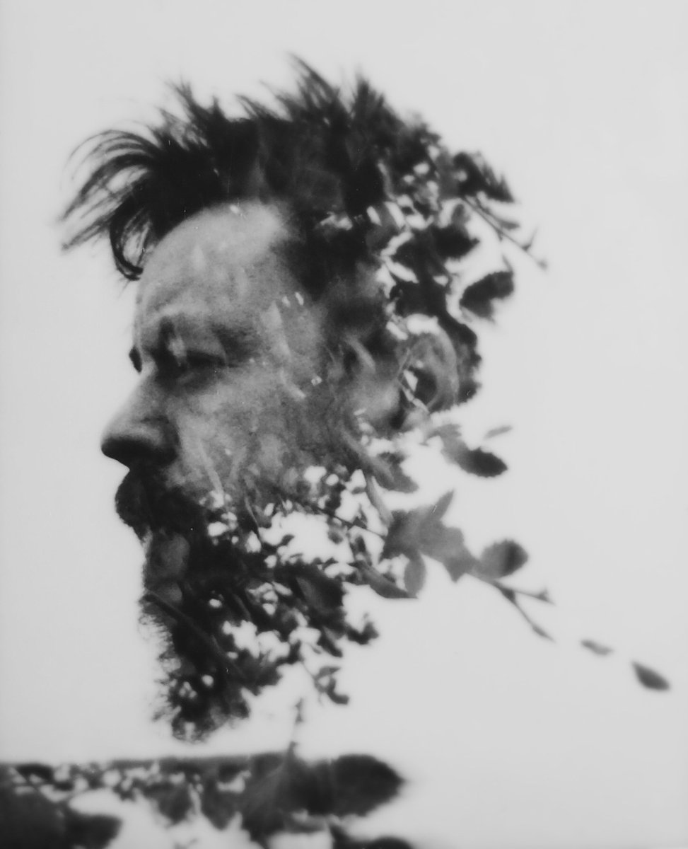 Young Forest (@youngforestband) on Twitter photo 