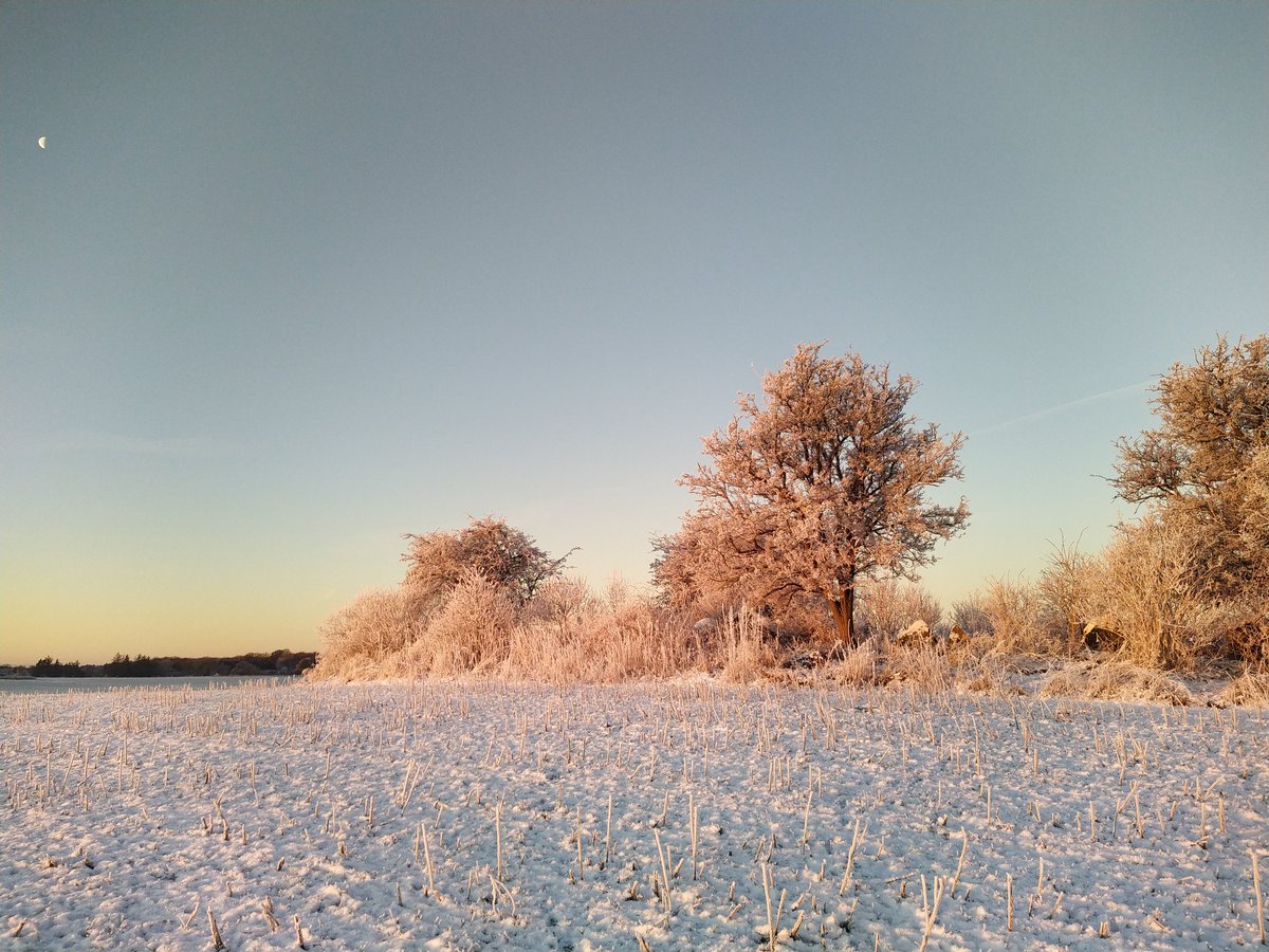 IlsoeIlsoe's tweet photo. Beautiful morning 🌞 https://t.co/IXCCMMSMYC