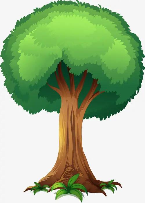 mdzz7758sb's tweet photo. Save the earth together.（🌲，🌲)
@MetaTreeDAO https://t.co/BEN2BSaFa2