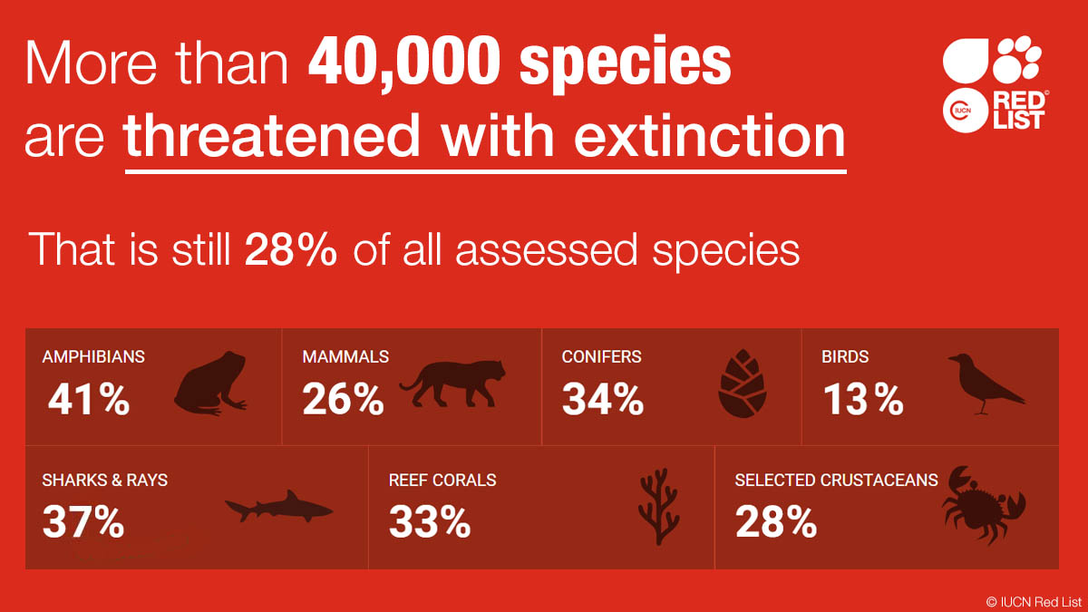 IUCN's tweet photo. The number of assessed species on the @IUCNRedList is now 142,577 with over 40,000 threatened with #extinction. Discover more about their status and what can be done https://t.co/x5eSDwVNcx https://t.co/u2B6KgW0FX