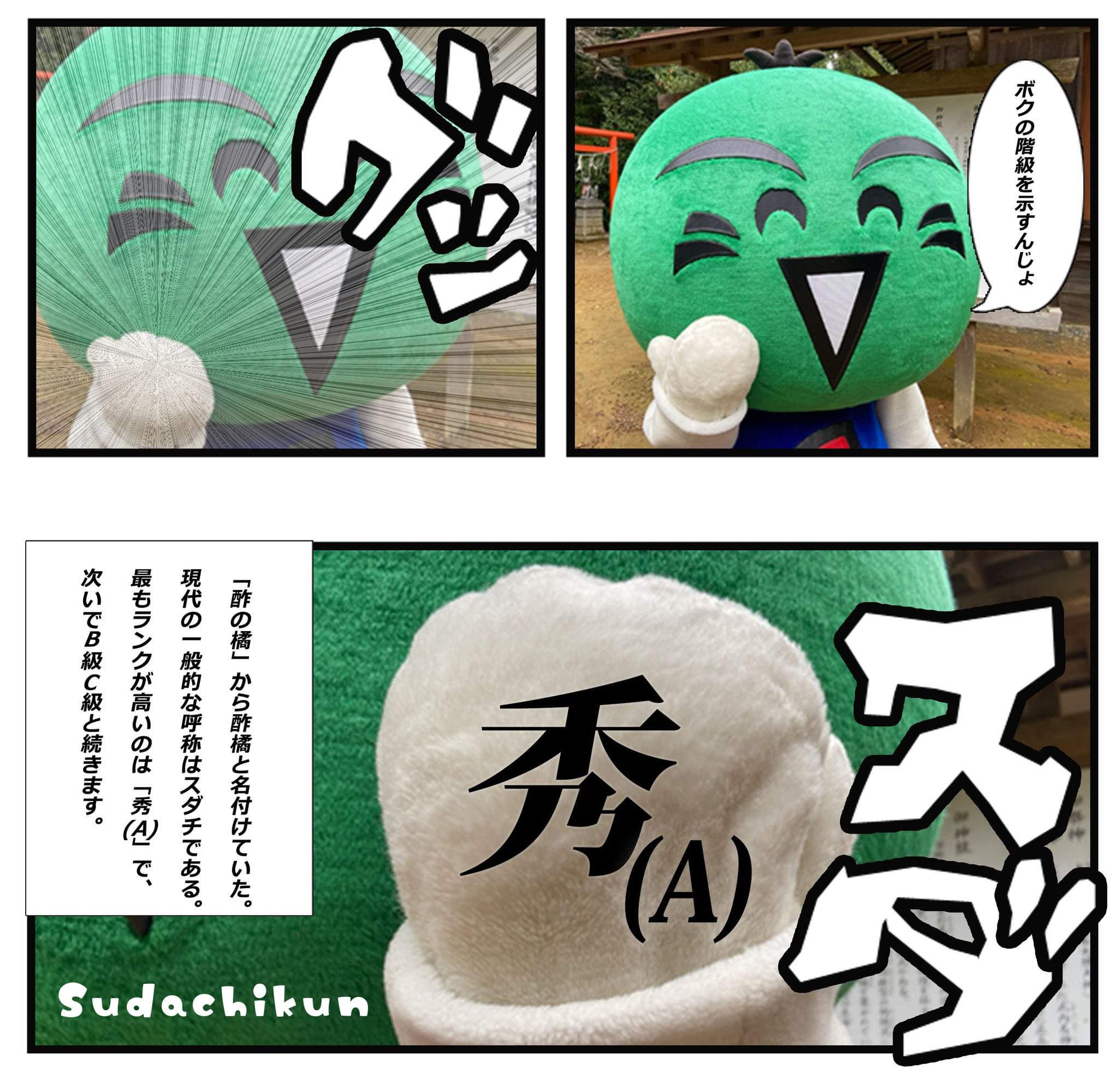 すだちくん様専用 メルカリ