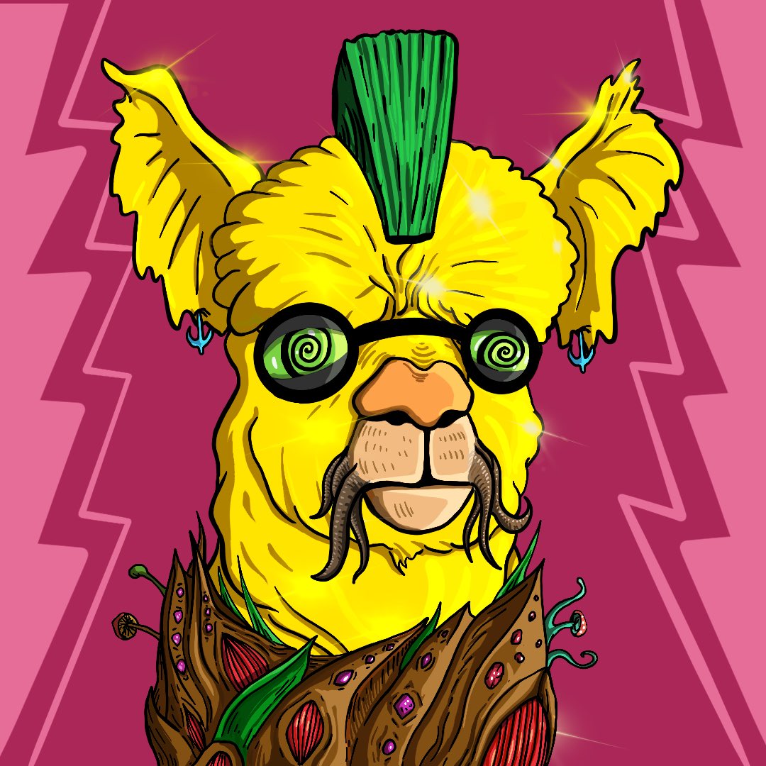 CryptoQer's tweet photo. Show some LLOVE to our LLAMAS, by own LLAMA before phase 2! This project will flight to the marse. #llamagang #solsea #solseaNFT @solana @multiversellama @solsea https://t.co/rQOi2x2j5f https://t.co/UCKGmOoFpz