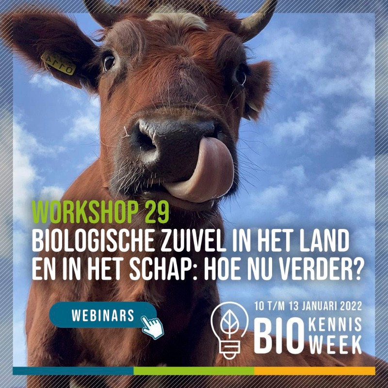 BionextTweets's tweet photo. Voor #biologisch ondernemers is marketing van belang. Joyce, manager Marketing &amp; Communicatie, tipt 5 #Biokennisweek webinars hierover. Check de slides ↔️ voor de hele top 5 en scoor hier je ticket: https://t.co/h2gmLNa8rw 
#biomarketing #bpv #kennisagenda #biologischezuivel