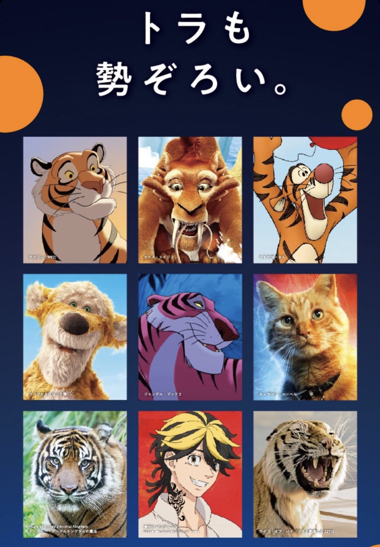 Twitter 上的 D93 The World S Most Magical Celebration ディズニー プラス公式インスタのストーリーで トラも勢ぞろい に東京リベンジャーズの一 虎 がまぎれているのが面白すぎるwww それ以外にもトラじゃないのもw T Co Bgdfwihftd T Co