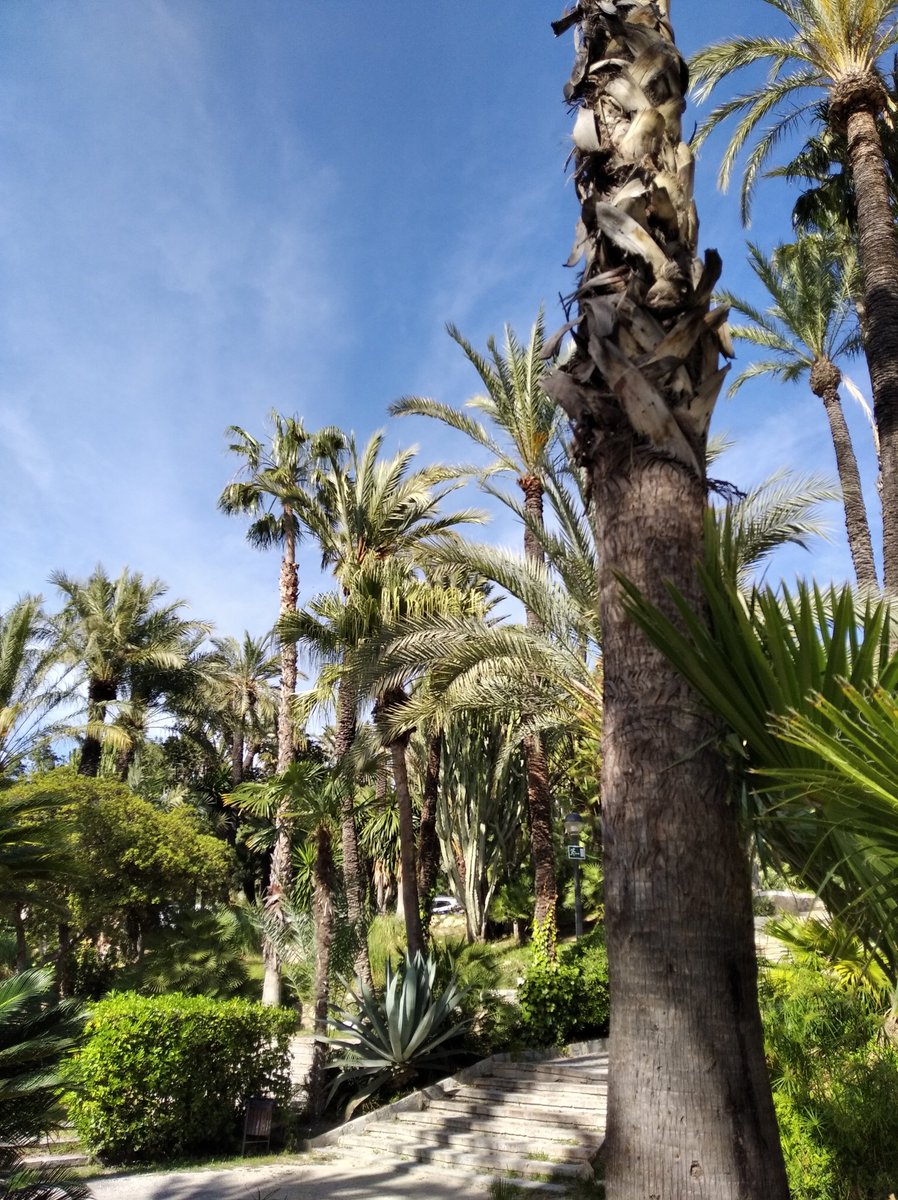 <a href="/Josepberto/">Josep</a> <a href="/DimoniCent/">Dimònit del Cèntim</a> <a href="/groucho2012/">SR. Delaney</a> <a href="/salcofa/">Salva Colechà</a> <a href="/diegovicent6/">diegovicent</a> <a href="/Charopardo5/">Charopardo</a> <a href="/tonilacota1/">tonilacota</a> <a href="/pepxabiagen/">Pep</a> <a href="/garciabrake/">jose</a> <a href="/Monique_Lamarq/">Monique ||☆||</a> <a href="/SompivoroJr01/">El Raton Colorao</a> <a href="/Xiketameua/">🚴‍♀️Xiqueta Fallera🍊</a> <a href="/falduko/">Falduko Bratt Pitt (i collons). Salva</a> @PacoPaac <a href="/marcmaraton/">maratonianoveloz</a> <a href="/BruixesR/">Bruixa,Eire</a> <a href="/MorenoCafeteria/">Cafetería Moreno</a> <a href="/IvarsBlanquer/">Esperanza Calvo Roselló</a> @cocademolletes <a href="/blacknote69/">Josep Martí</a> @isetasocjo <a href="/rakelises/">Raquel 🍊</a> <a href="/cacauencorfa/">🥜 cacauencorfa 🥜</a> @RouresBar <a href="/Jaume89060397/">Jaume Açagra</a> <a href="/0collak/">Collak</a> <a href="/conlapipol/">Coca de tomata i pastisset de peix</a> <a href="/ChimoBayo/">Chimo Bayo</a> <a href="/quinacarafas/">Hoscar 🍊</a> <a href="/Altafaja1P/">Lunia17 #NoSurrender/no llistes</a> <a href="/agossarat/">Pere Moll Torres</a> <a href="/ToiaRoca/">Toia Roca</a> <a href="/EliasLM84/">Elías Lpz Mrtnz</a> <a href="/encarni_89/">Encarni</a> <a href="/argelagaonfire/">🔥Argelaga On Fire! 🔥</a> <a href="/dimoniemplomat/">El anónimo más sigma</a> <a href="/CoFi13331290/">CoFi</a> <a href="/carapantalla/">carapa</a> @natxosanchez <a href="/Inyesta_/">Susi Iñesta 👁️‍🗨️</a> <a href="/sersalvatge/">Jose Tomàs🔻</a> <a href="/elgotet/">Juanj__o</a> <a href="/francjfarmo1/">Franc</a> <a href="/CharoPardo4/">Charo Pardo</a> <a href="/Ximo_Xen/">🔥 Mandarín 🔥</a> <a href="/AnjueMari/">MariAnjue</a> <a href="/moreres/">pep ximo</a> <a href="/sentovicent/">vicent Diego </a> <a href="/jvpeiro/">José Vicente Peiró</a> <a href="/MrHuntinNoobs/">Tru Arte</a> Bon dia gent!! ☕