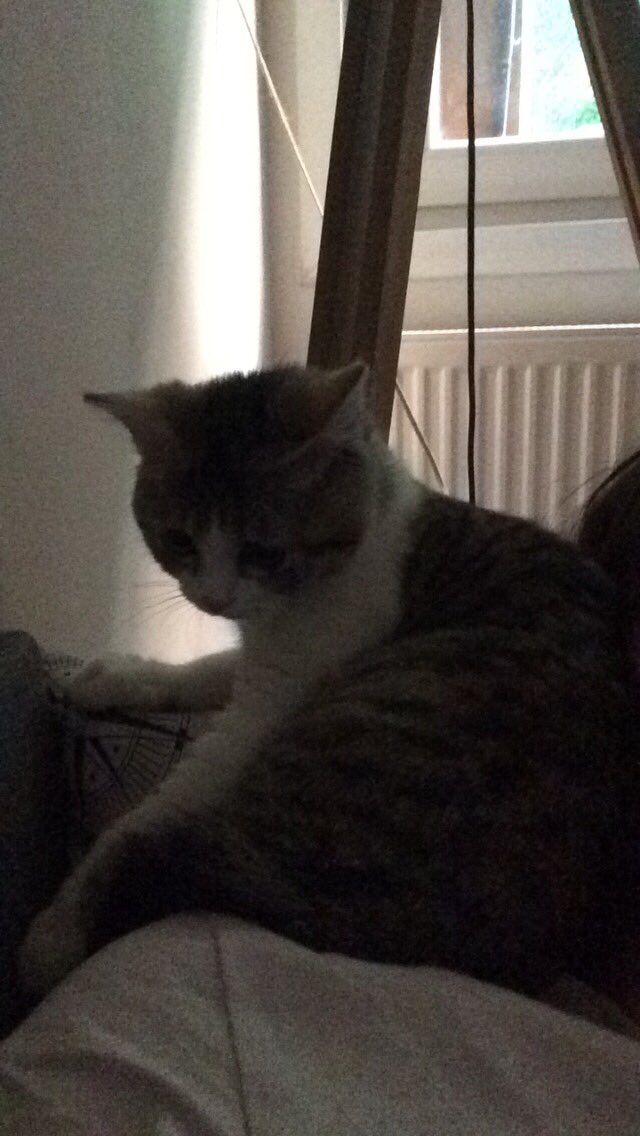 Hadi kalk date’e götür beni