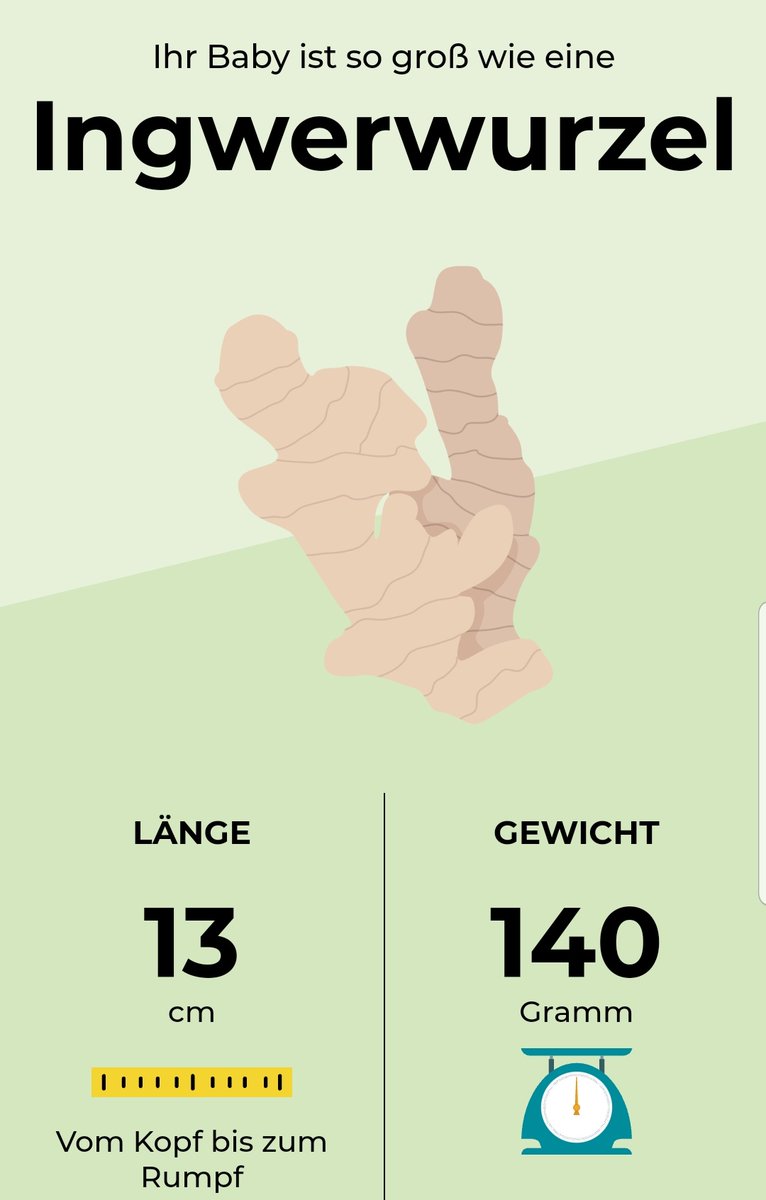 RPferdemadchen's tweet photo. #junibärchen
#wochenwechsel
Die eine App sagt Ingwer, die andere Bohne, mein Bsby-Countdown-Kalender sagt Grspefruit. Tatsächlich war das Bärchen am Mittwoch schon 17cm lang und 180g schwer...Laut Gyn genau richtig. https://t.co/GxkX3MexJ3