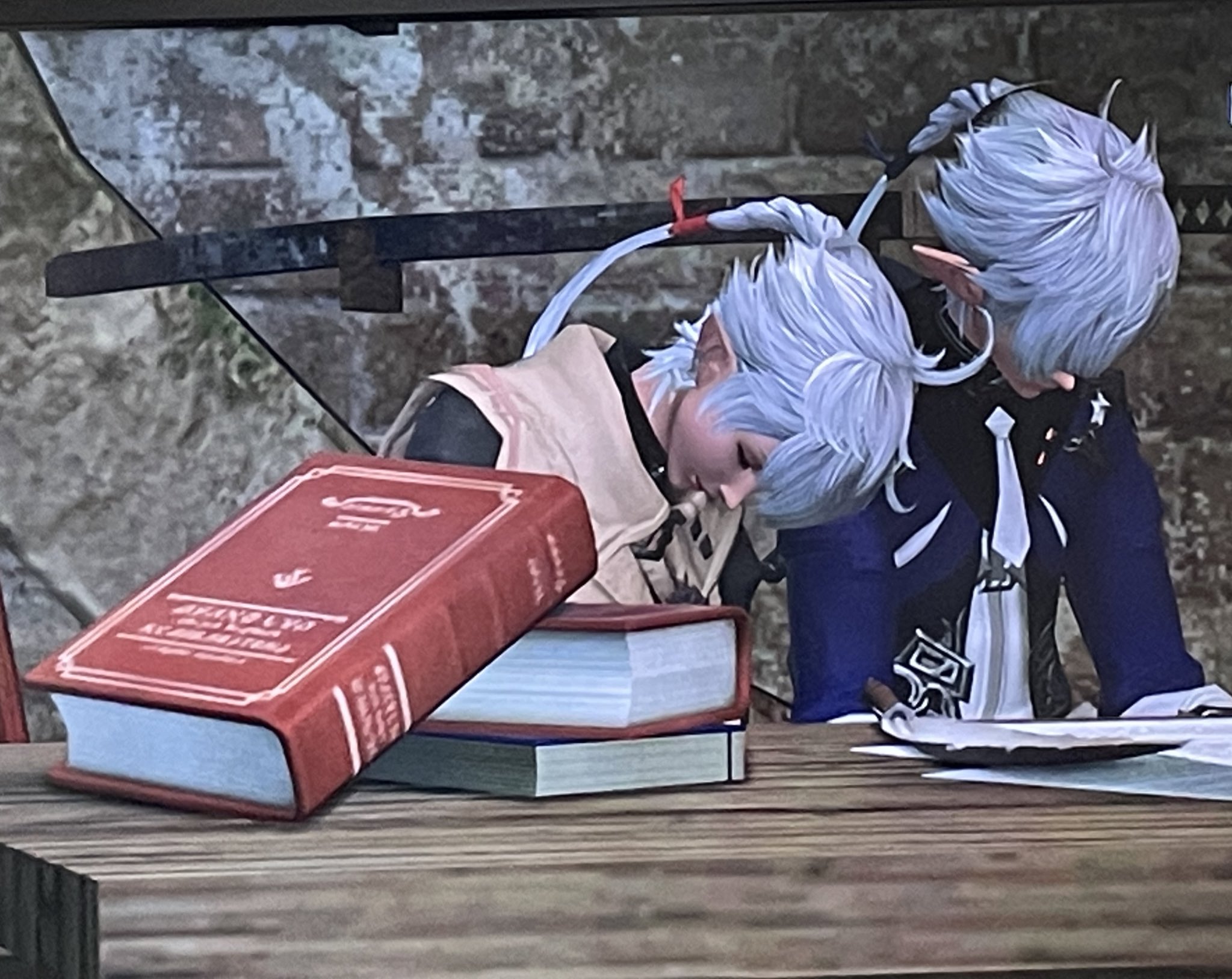 もち Ff14漆黒マナ すやすやかわいいかよぉおおぉ アルフィノ アリゼー Ffxiv T Co Stzipyp7tx Twitter