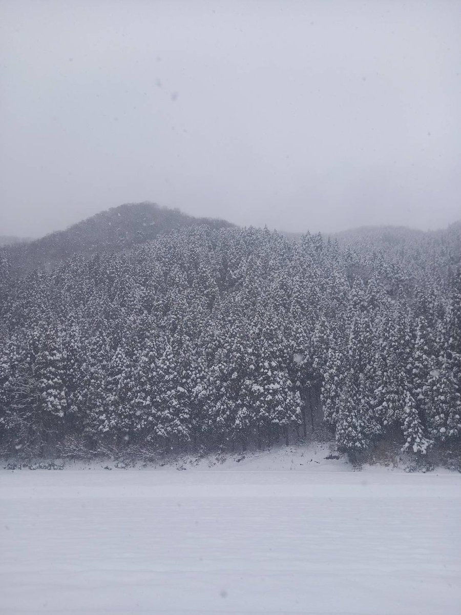 GON18TA's tweet photo. 長靴で歩き回れるようになったのは大きな進歩だけど、もう少し履くスピードを早められたらなぁ。
ピッタリサイズが歩きやすいし、そこは絶対に譲れない。
稀に踵がストンと気持ちよく入るときがあるので不��能ではないのだけど… https://t.co/hvncby2eyi