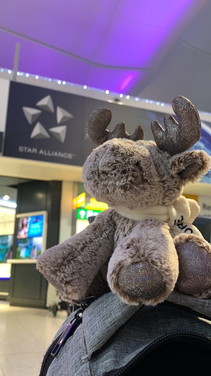 MyMooseTravels's tweet photo. @HeathrowAirport it’s time to travel again! Enjoying the delights of T2 today off to the US with @united https://t.co/IY6FwpI9iV