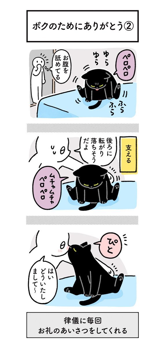 困っている猫に手を差し伸べた飼い主 続く展開に7万『いいね』 https://t.co/TIqVMCarY5 @grapeejpより 