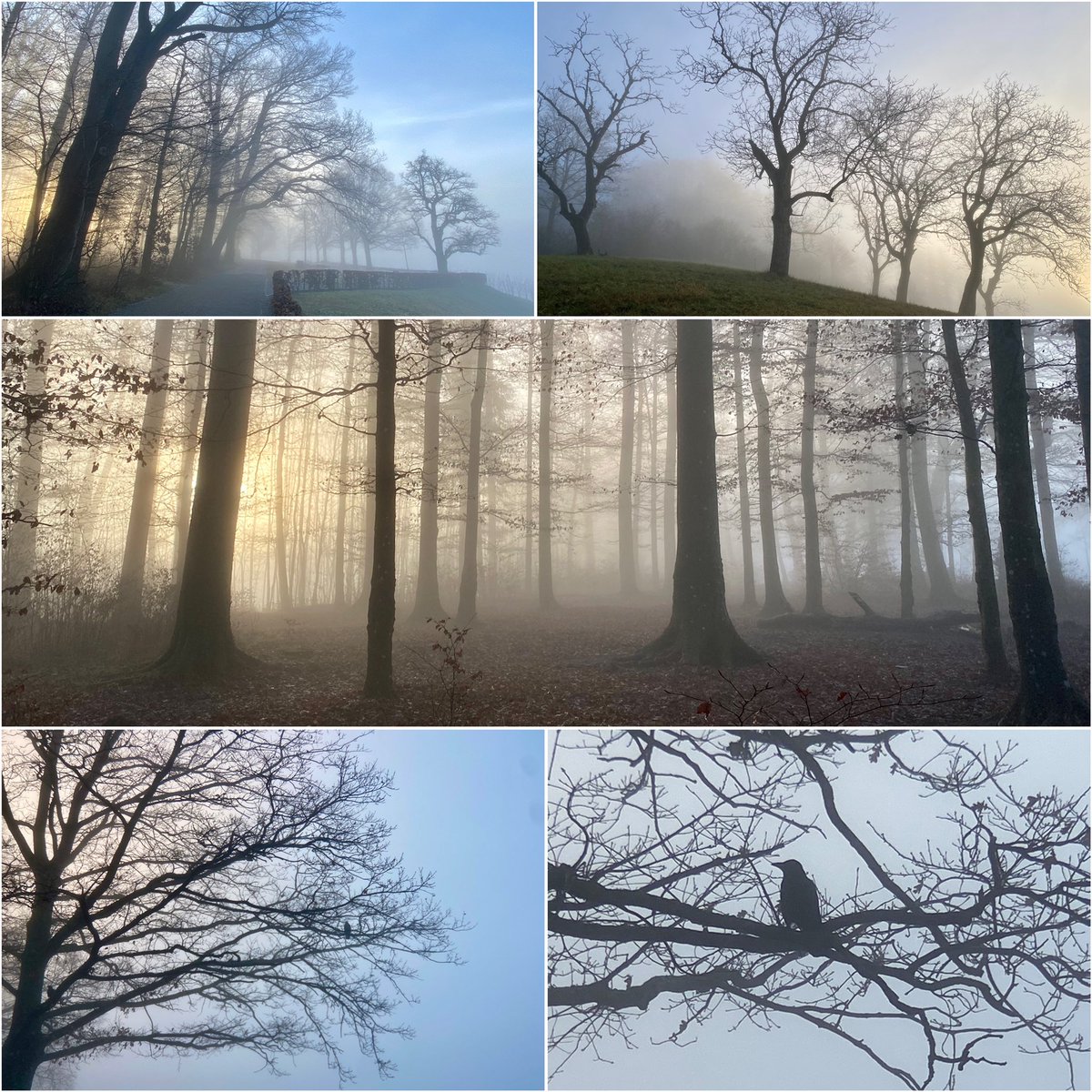 wintimet's tweet photo. An der Nebelgrenze. #Winterthur #Goldenberg. https://t.co/IQaGNP74AO