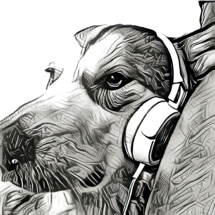 DRGNFT77's tweet photo. Check out Silas 2 by Shiba Azu at https://t.co/RmKZGGrTHp NFT! https://t.co/QH5vdZNUg6 via @cryptocom
#NFTs #NFT #NFTCommunity #husky #headphones https://t.co/LRFP4tcqlm