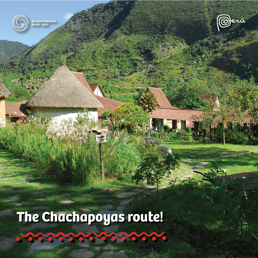 peruinindia's tweet photo. Give yourself 3 days to discover this hidden paradise. Complete the route to the Gocta waterfall on horseback or by foot, visit the cloud fortress of Kuelap next and finally, visit the breathtaking collection of 200 mummies in the Leymebamba museum. https://t.co/YOTmaxFT1x