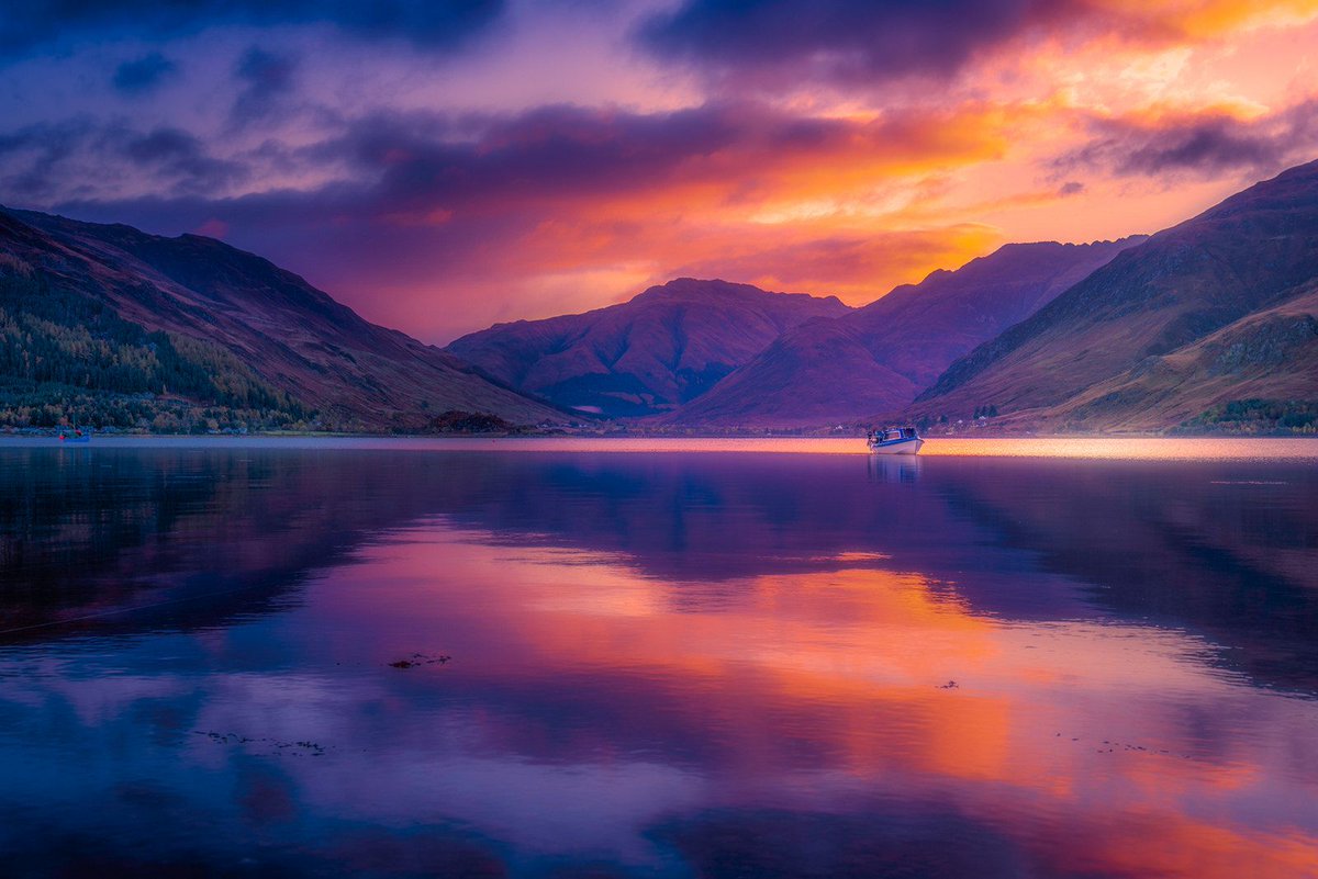 PictureThis Scotland tweet media