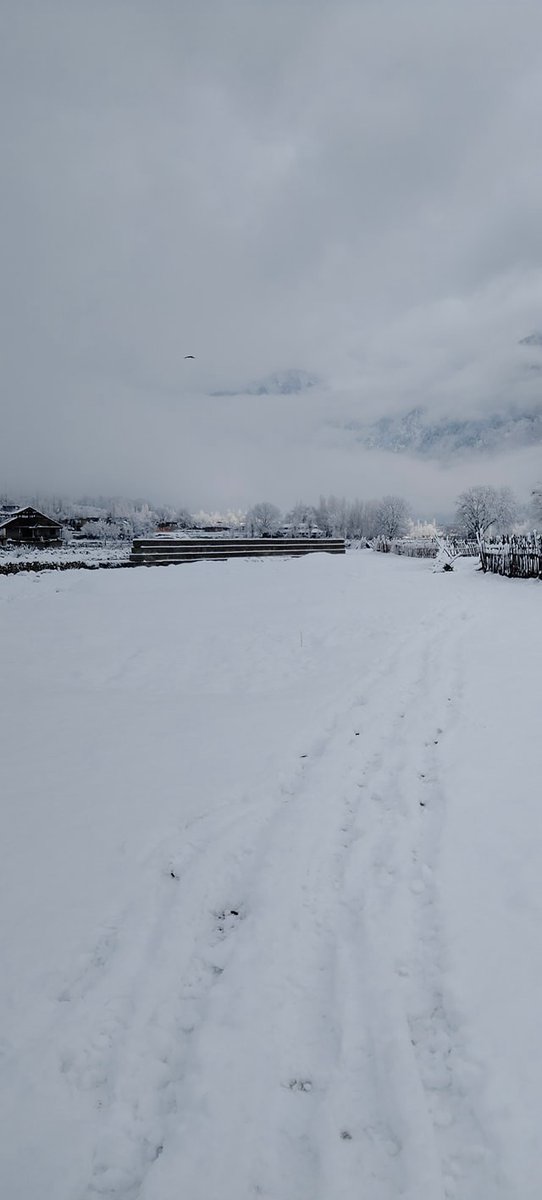 kumratvalley's tweet photo. #Snowfall2021 at Kumrat Valley
Credit: Dr. Shah Rome https://t.co/9z0ouK3jzW