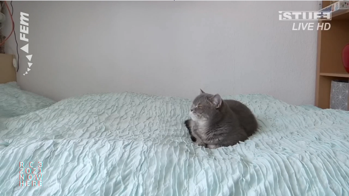 Opening beginnt in einer halben Stunde.
Derweil noch etwas flauschiges zur Einstimung auf unserem #rC3 Channel

streaming.media.ccc.de/rc3/fem