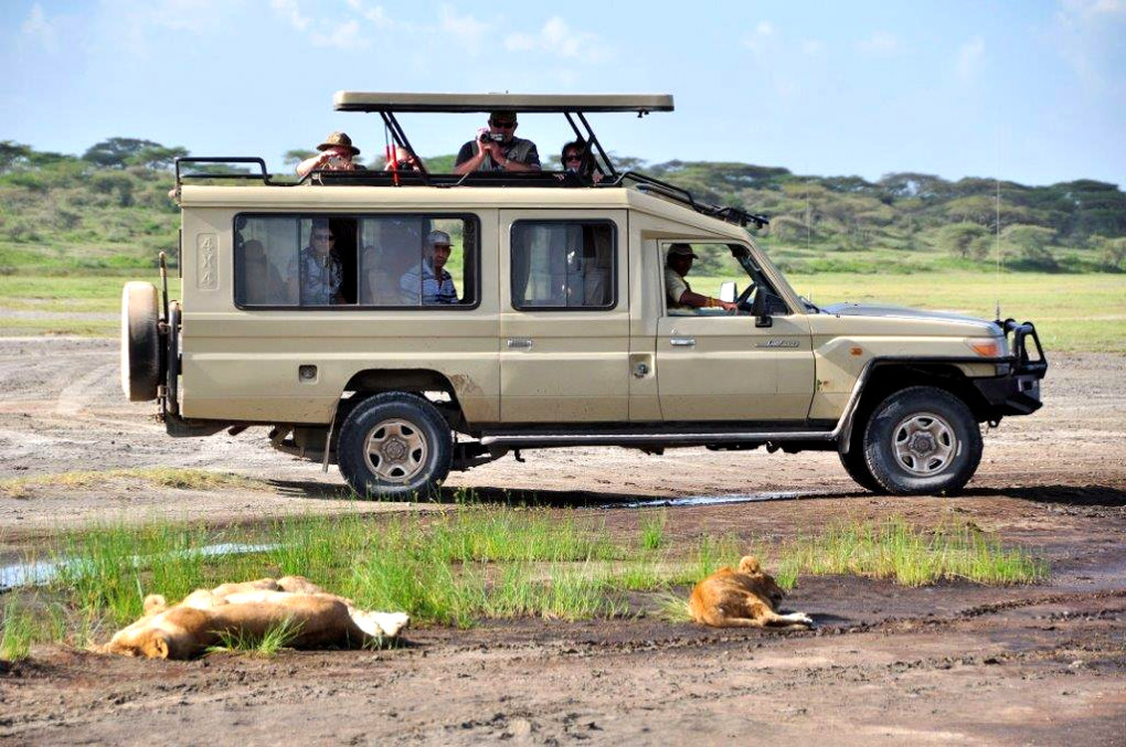 Kilimanjaronews's tweet photo. Christmas holiday tour offers include Tanzania safari #cheaptours to see the #Africabig5
https://t.co/KgpG2njeA1
@travelquester #Travel #Tourism https://t.co/iEg2lnnjMe