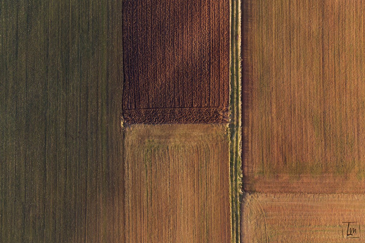landermadaria's tweet photo. Serie de 5 abstractas sobrevolando Burgos, ¿cuál os gusta más?

“Bricks” https://t.co/T1Co270nrJ