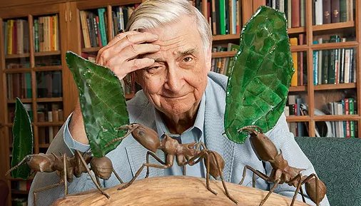 Geology_History's tweet photo. American biologist Edward O. Wilson, famous for his research on ants, sociobiology &amp; diversity and dubbed the modern-day Darwin, died on Sunday at the age 92
https://t.co/uUjIYzSKgn https://t.co/dg6POsO21a
