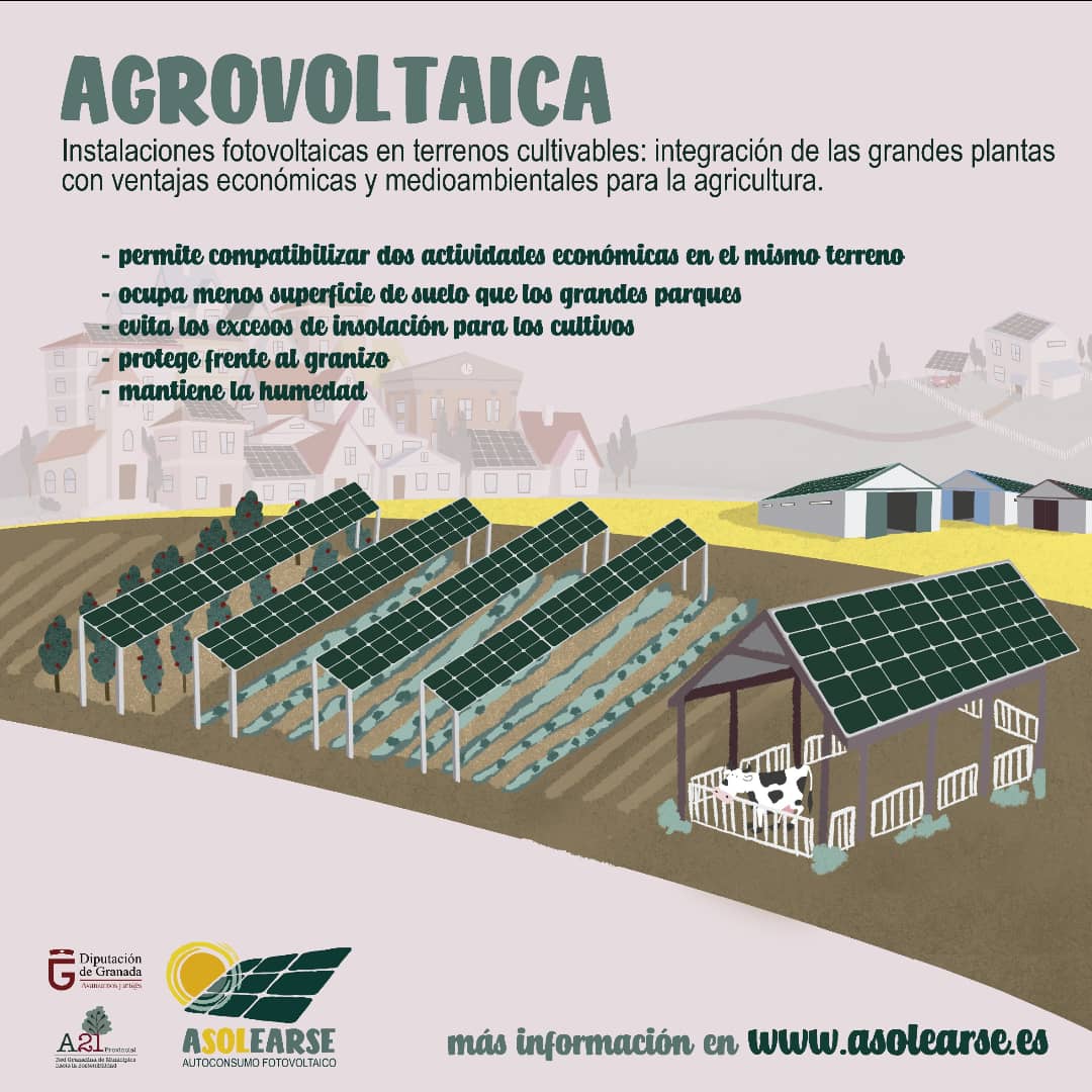 asolearse's tweet photo. Conoce los diferentes tipos de autoconsumo y los mitos y oportunidades del autoconsumo.
Entra en www https://t.co/0AypcyJatA https://t.co/2E9Hd4sfN1