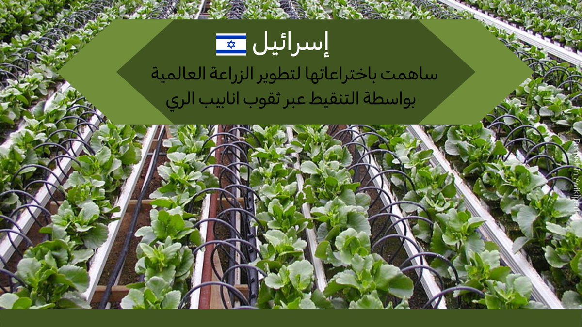 إسرائيل ساهمت باختراعاتها لتطوير الزراعة العالمية بواسطة التنقيط عبر ثقوب انابيب