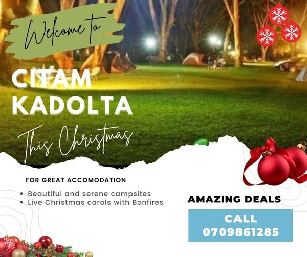 Amazing offers trending