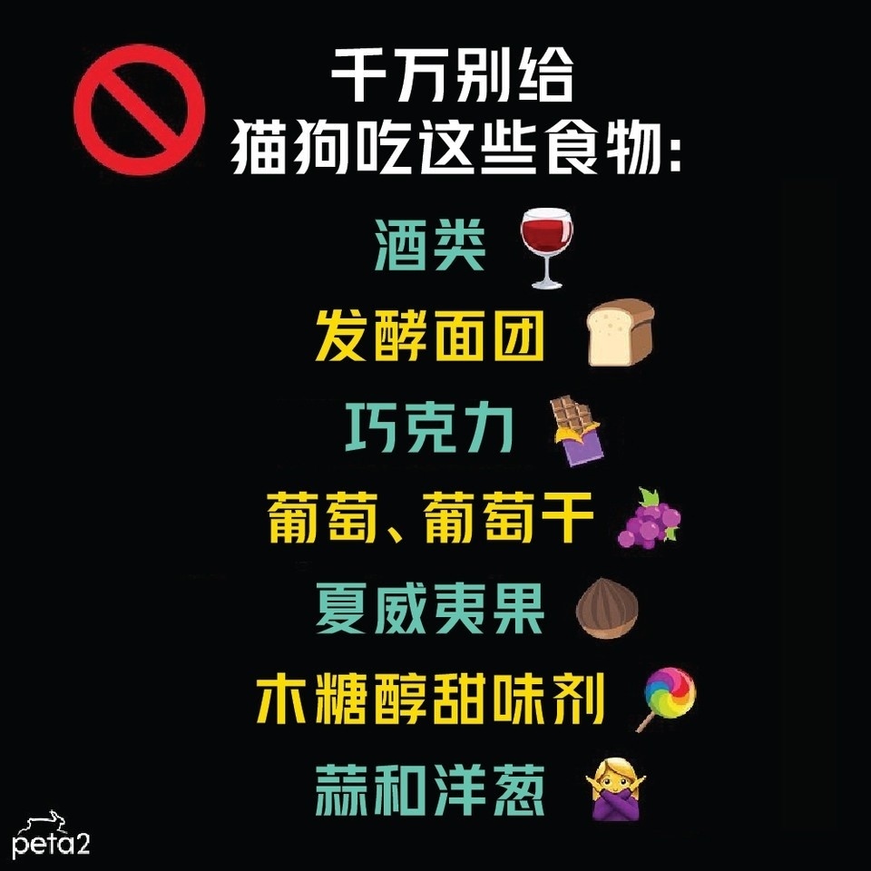PETAAsiaZH's tweet photo. 🔔铲屎官们注意啦！

千万别在假期聚会中给猫猫狗狗误食这些东西！这张图很重要，请分享给还不知道的人！！🐕🐈💕⁠

#dogs #cats #dog #cat #safety #dogandcatsafety #safetytips #animalsafetytips #animalsafety #animalrights #adoptdontshop #adoptdontbuy https://t.co/flqOzgIeGl