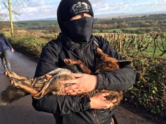 Good luck to the <a href="/HuntSabs/">Hunt Saboteurs Association</a> who are on the front line today protecting our precious wildlife against law breaking hunts  @charliemoores @OtlPodcasts