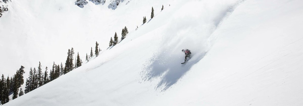 Ski Travel Go tweet media