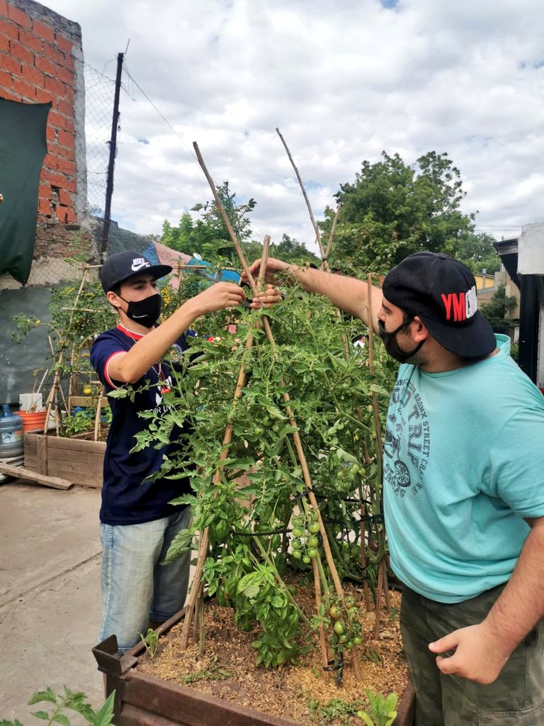 CMtorcuato's tweet photo. Buen dia,  jornada  de trabajo en la huerta junto a los pasantes y vecinos que siempre estan dispuestos a colaborar,  hoy realizamos una importante #cosecha que nos dejó muy orgullosos de nuestro trabajo! 😄

@IMASNTigre
@TigreComunidad
@Torcuato_Este https://t.co/VWOetDIIsb