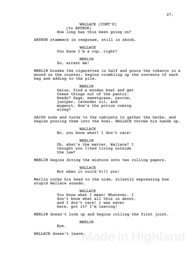 MerlinWOC's tweet image. He went to ~Woodstock guys!  #Merlin #MerlinWOC