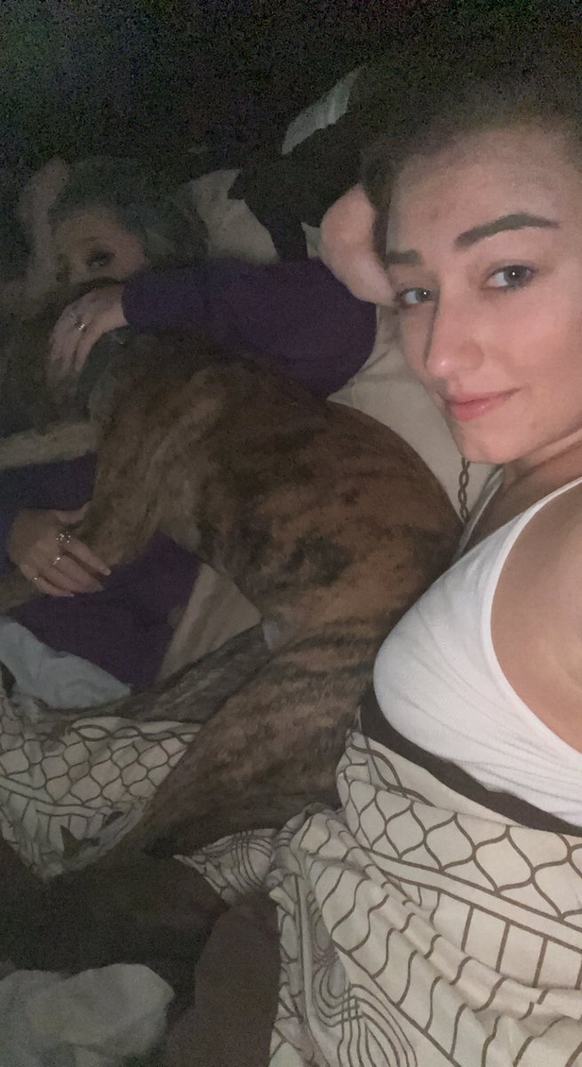 caits_way's tweet photo. Quarantine crew #covid #cuddles #comfy https://t.co/hA6k99QglH