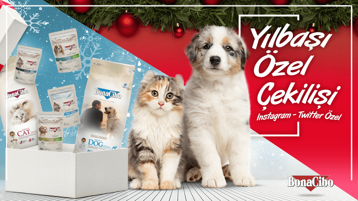 BonaCibo Yılbaşı Çekilişi başladı🎄🎁🎅

Hesabımızı takip et gönderimizi retweetle ve bir arkadaşını etiketle ✔️

4 kg kuru kedi maması ve 12'li poşet yaş kedi maması veya 8 kg kuru köpek maması ve 12li poşet yaş köpek maması kazanacak 10 şanslı kişiden biri olma fırsatı yakala😉
