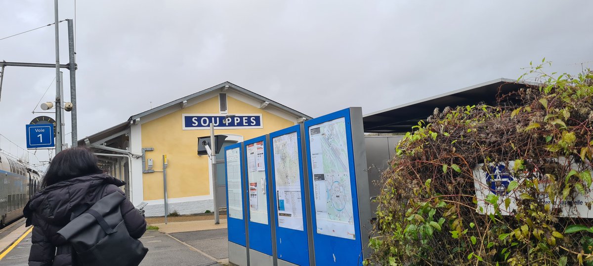 GodzillaGiroflex NicolasFishcage LordExplodokills tweet media