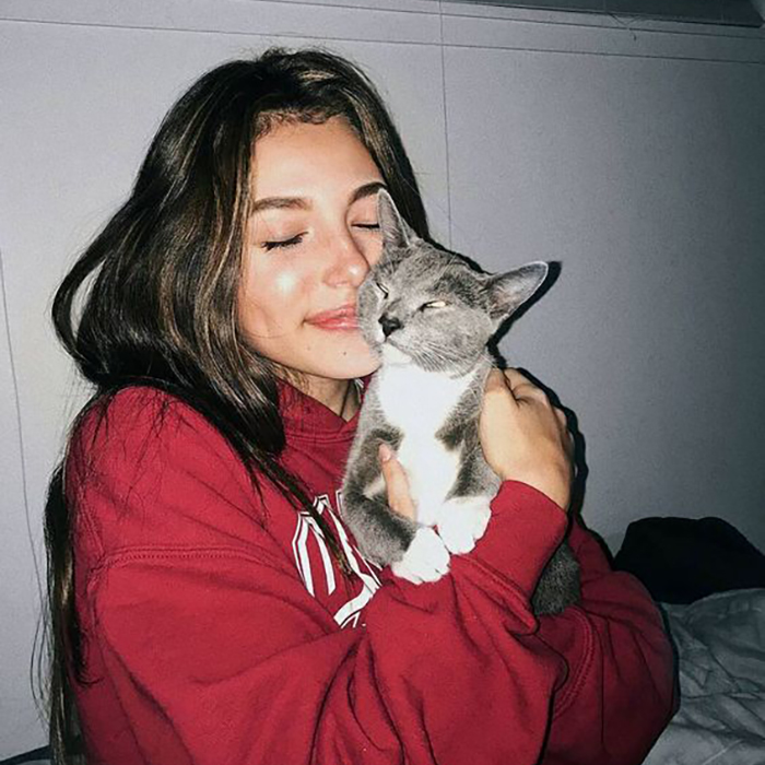 kediler kadar huzur veren yok