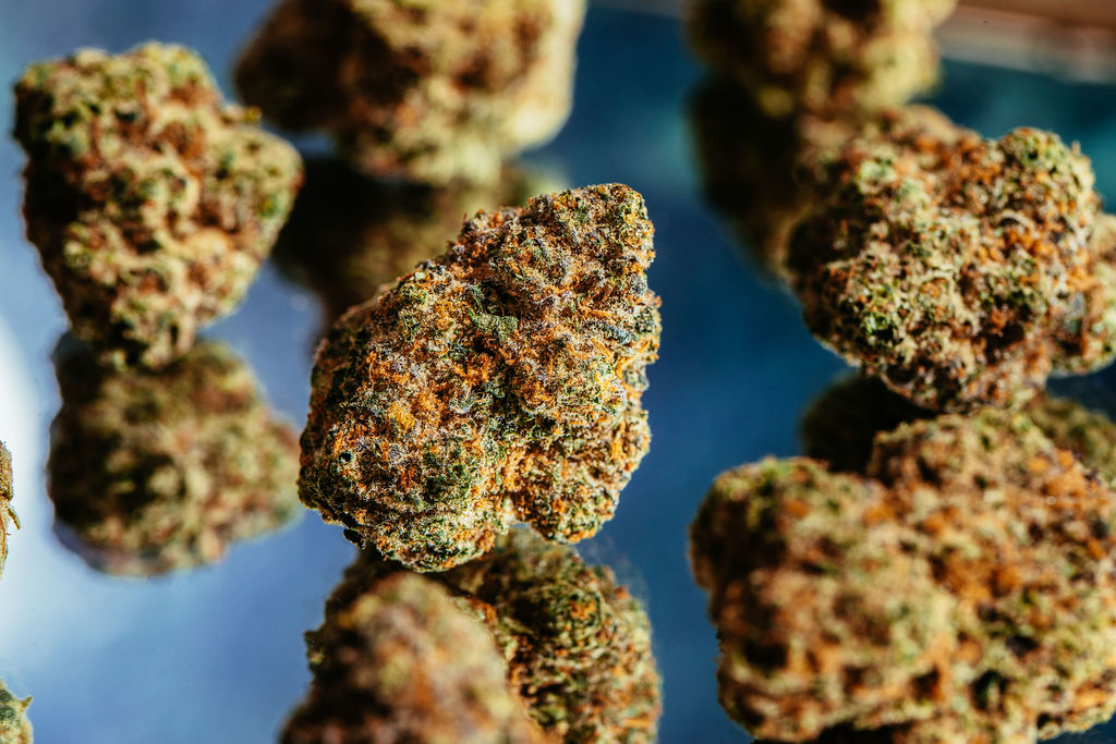 We hope everyone had a very merry holiday! Just a reminder we are open normal hours today!