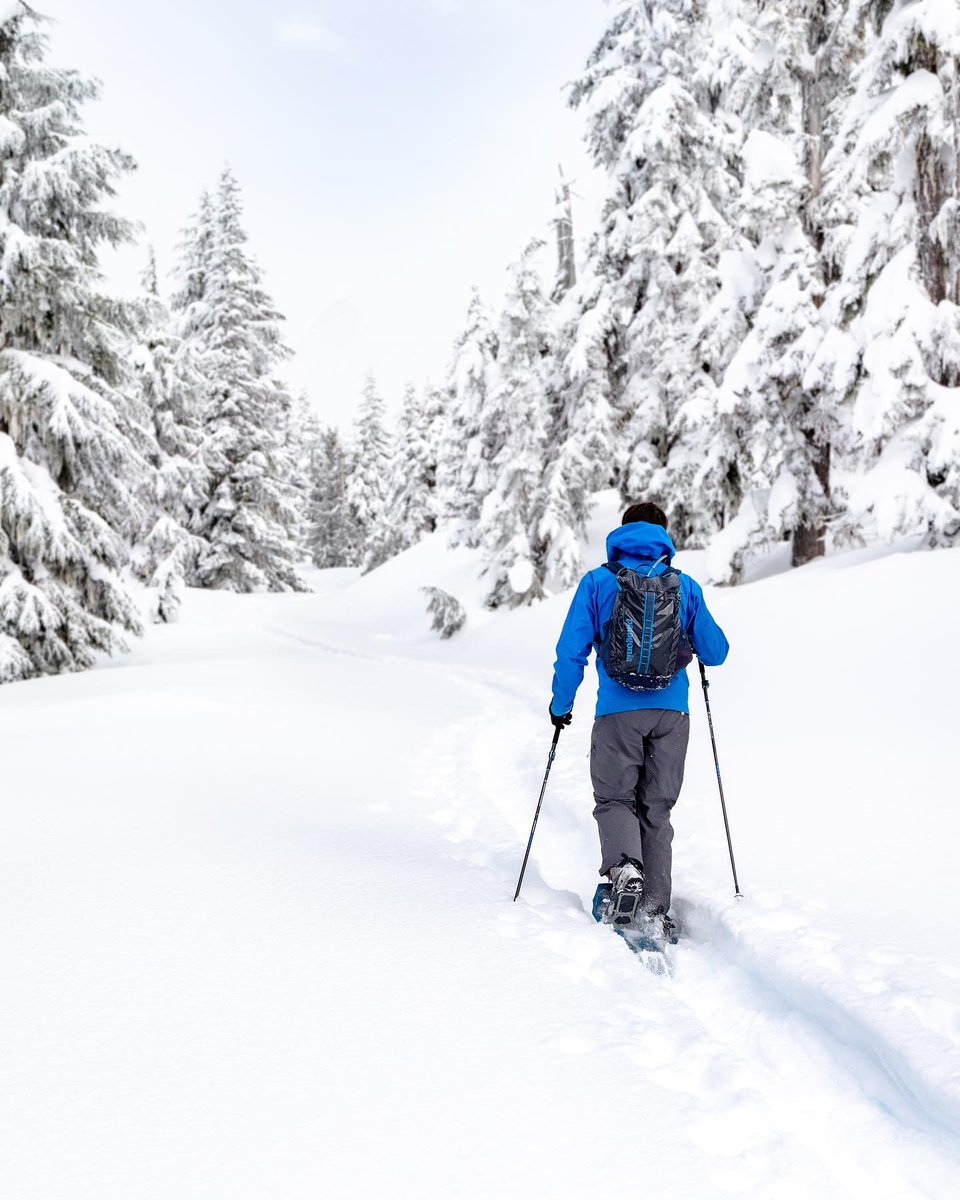Cypressmtn's tweet photo. 11km of safe, inbound self-guided snowshoe trails.  Explore the snowy forests of Hollyburn Ridge and enjoy a delicious treat at the Hollyburn Lodge Heritage Building along the way.
.
Book your Snowshoeing Experience today! https://t.co/qKbSHDkH98
.
📷: @simonhavenhand https://t.co/hG32XkLvoX