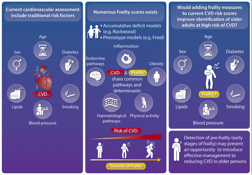 gonzaeperez's tweet photo. Frailty and increased risk of cardiovascular disease: are we at a crossroad to include frailty in cardiovascular risk assessment in older adults? 🤔🤔
@ESC_Journals @escardio 
https://t.co/GLzFkhlxUS https://t.co/6dQNgGy9x2