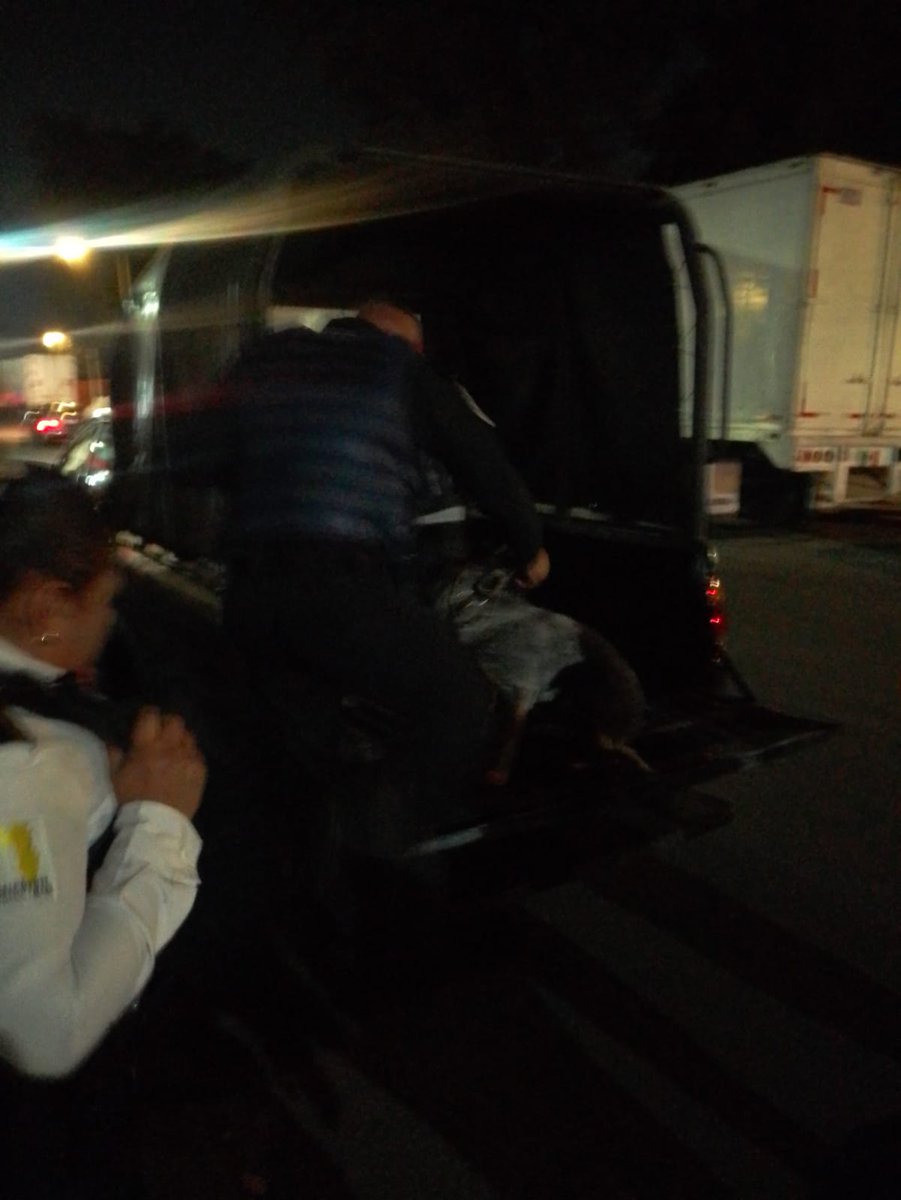 #Empatia || Toda vida cuenta. 

Elementos de nuestra corporación del sector  "Campestre" y "Titanes"👮🏻‍♂️ atendieron el auxilio por un Can 🐕 en vía pública, que divagaba en la col. Valle de Aragón I.
 
El canino fue resguardado en un módulo de nuestra policía en espera de su dueño