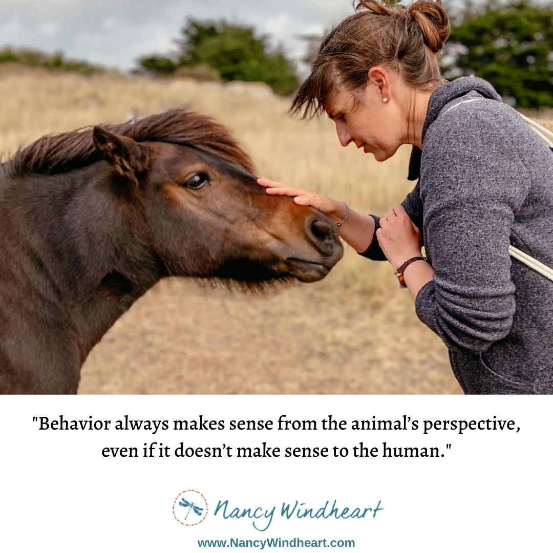 Over the years I’ve been working as an #AnimalCommunicator, I’ve come to believe wholeheartedly that #PositiveReinforcementTraining meets the needs of puppies and dogs much better than the older, dominance based approaches.

Learn more about this here - buff.ly/2Itg6yo
