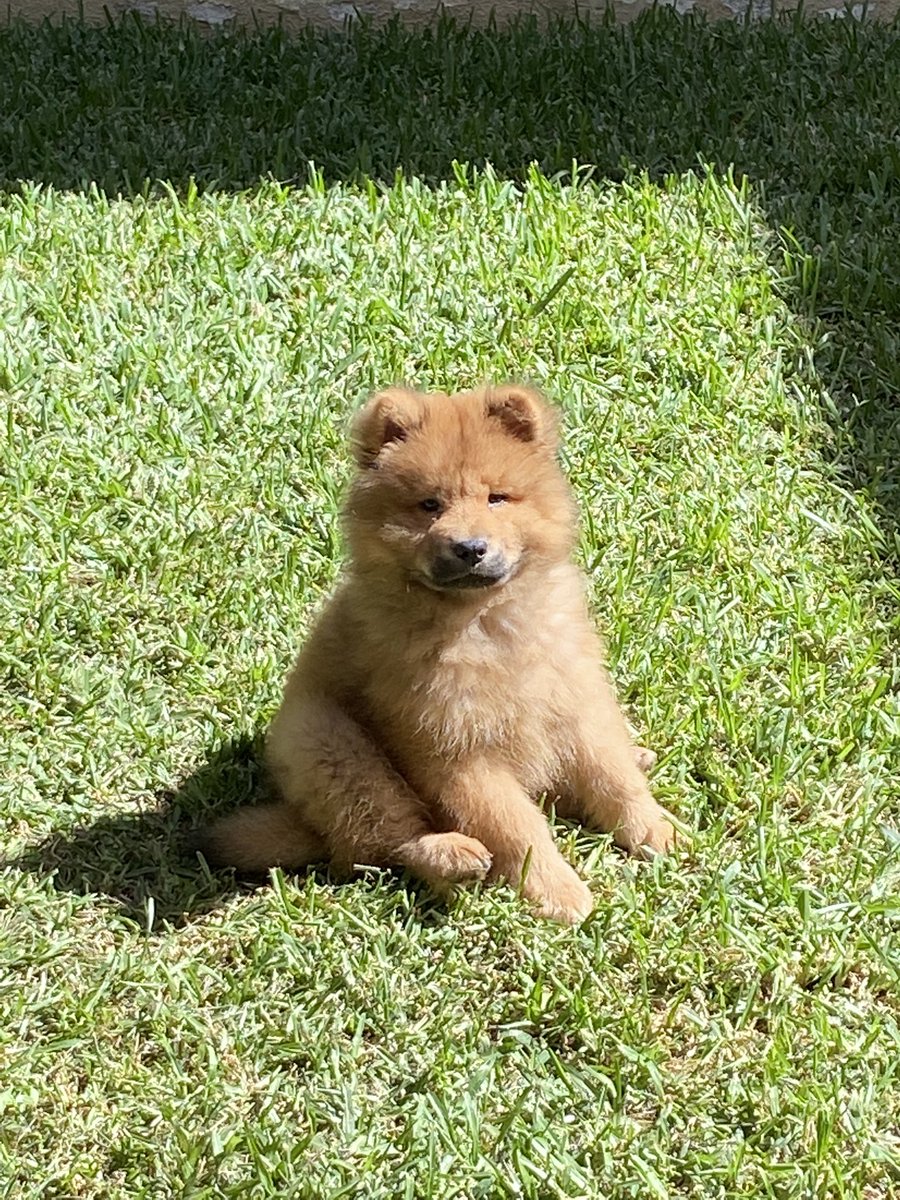 valehumphreyy's tweet photo. me devolvió la felicidad❤️‍🔥 https://t.co/K9sYmhx7TO