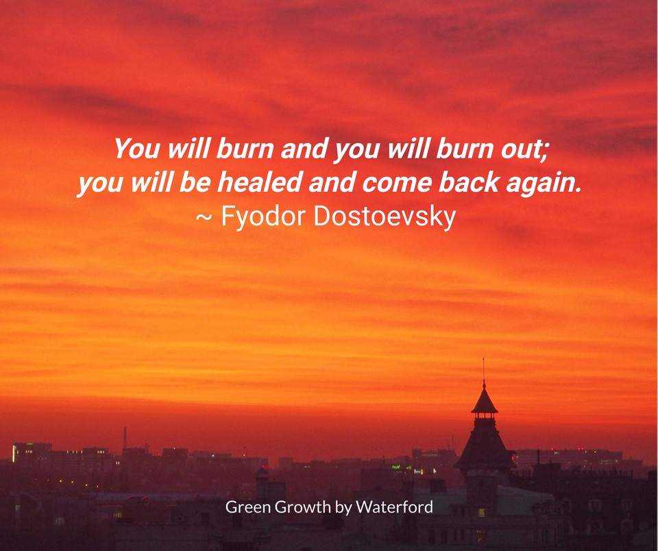 servelearngrow's tweet image. #rebirth
#greengrowthbywaterford
#greengrowth
#sustainability
#environment
#green
#livingwithpurpose