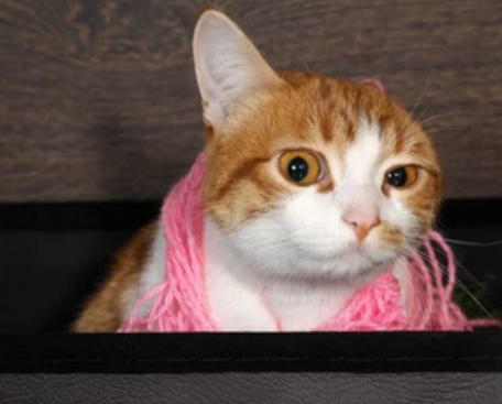 luyibov's tweet image. When you are looking at results of your paper after 12 years and try to explain to yourself what you actually did. 
#maths #automorphisms are no doubt useful, but is there anyone, who used automorphisms theory except mathematicians? 
This is still a question to me actually.