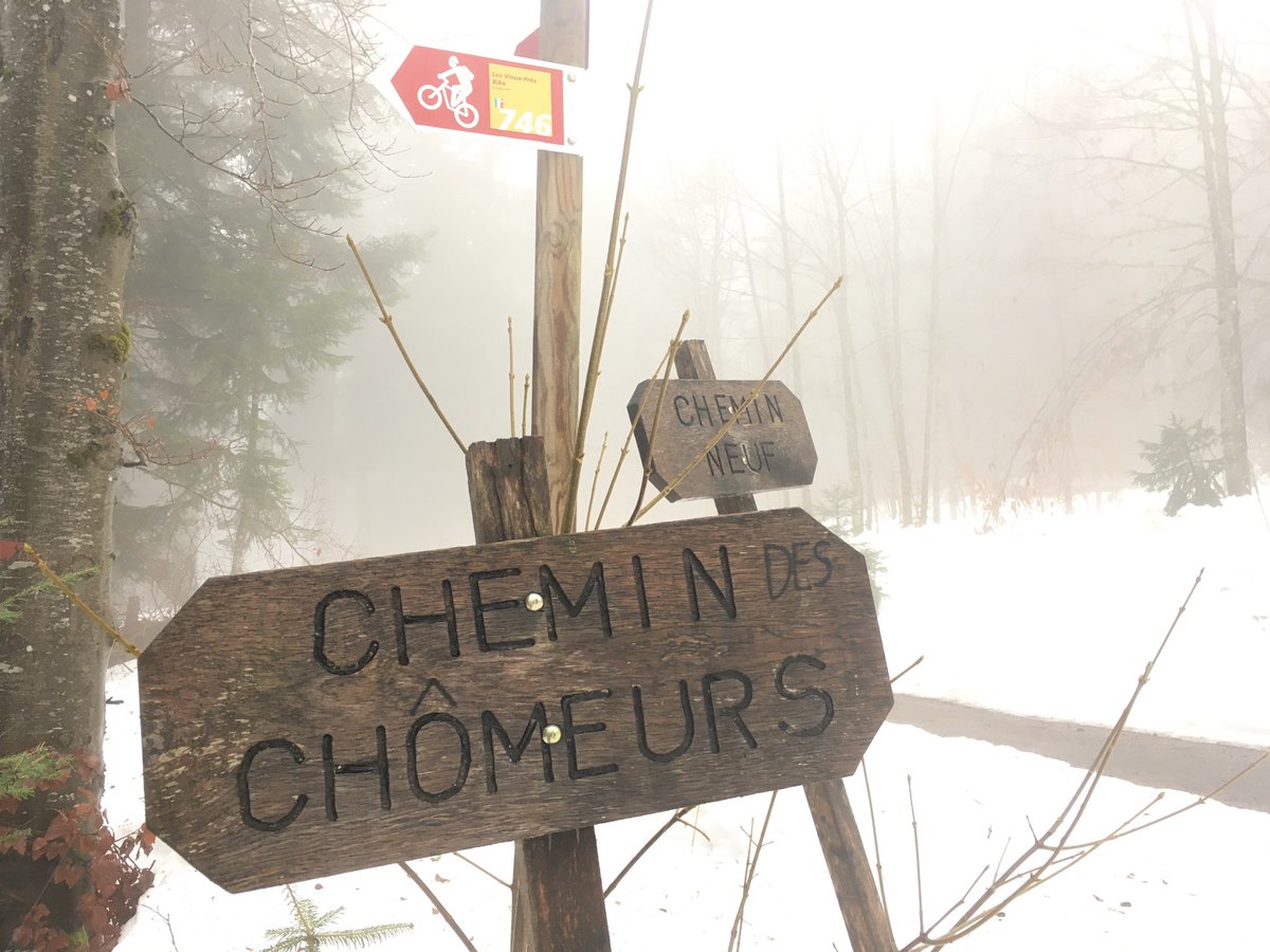 RobyTschopp_VdR's tweet photo. Dans la forêt au-dessus de #Cernier #ValDeRuz - la société et l’histoire s’expriment par les noms des chemins. https://t.co/Xmv7temh3c