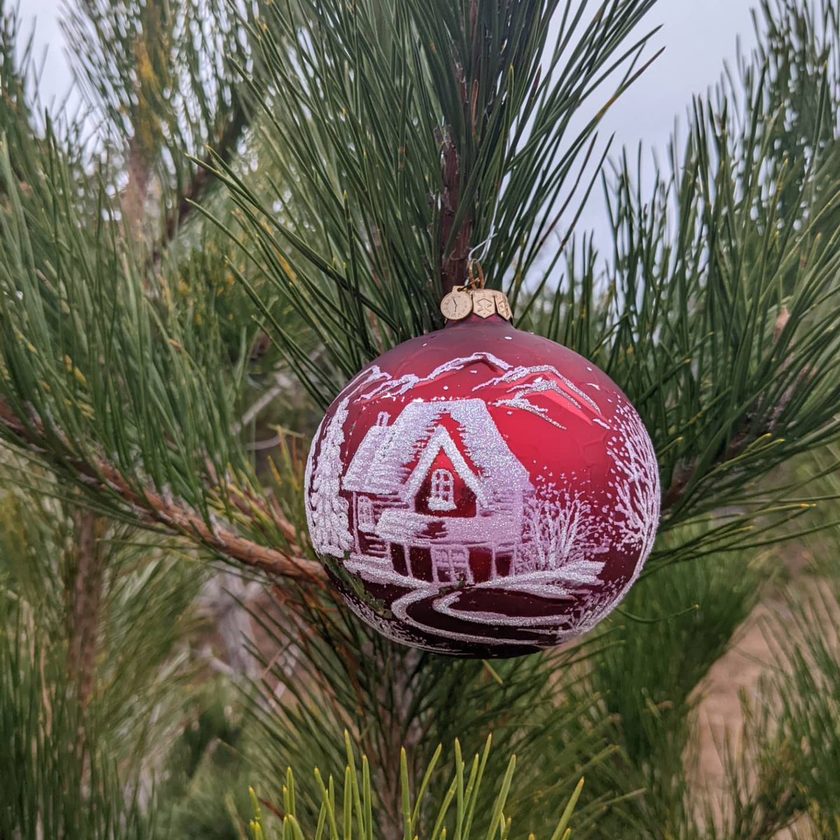 Nantucket Conservation Foundation tweet media