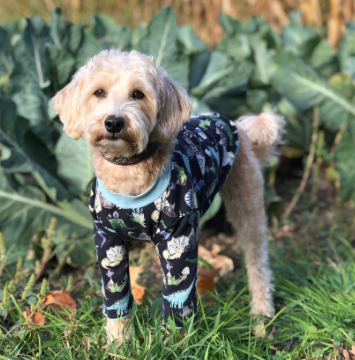 RuffStitched's tweet photo. Don't we all want a PJ day this week? After the chaos of the Holidays is over, we like to have at least one day to lay around in our cozies and that's what @Max_i_million is doing today.  Lots of great deals left in our Last Call Sale, so don't sleep on it! https://t.co/CNsRY5TQ69