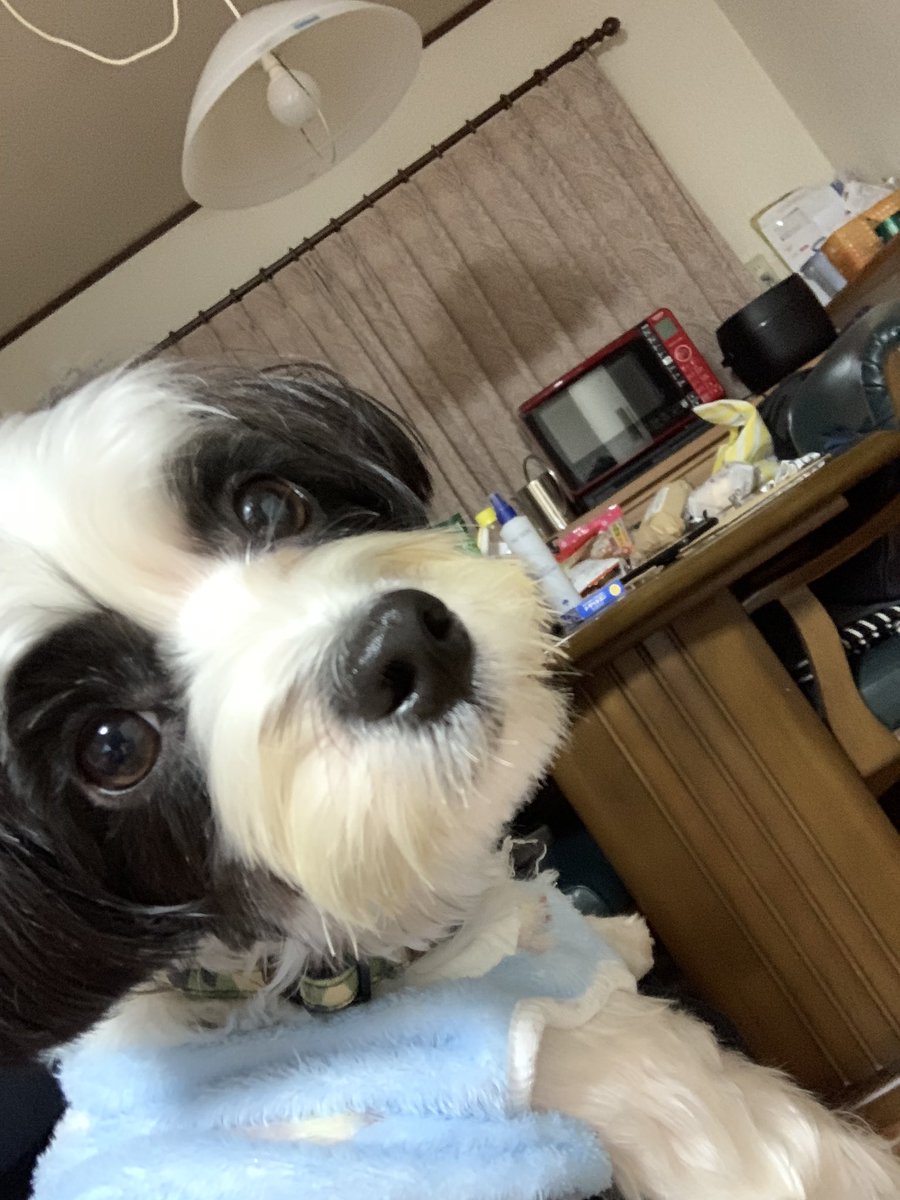 tae_ts4710's tweet photo. やっとご対面 https://t.co/x0ADNoqy1i